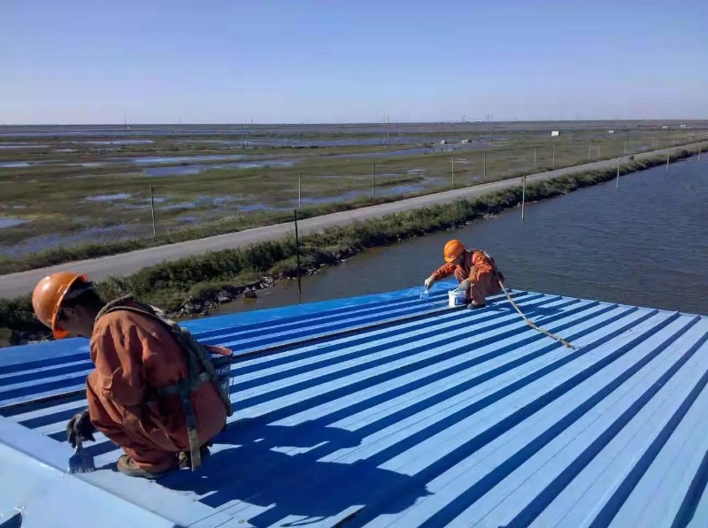 龙湾镇彩钢瓦屋面防腐翻新